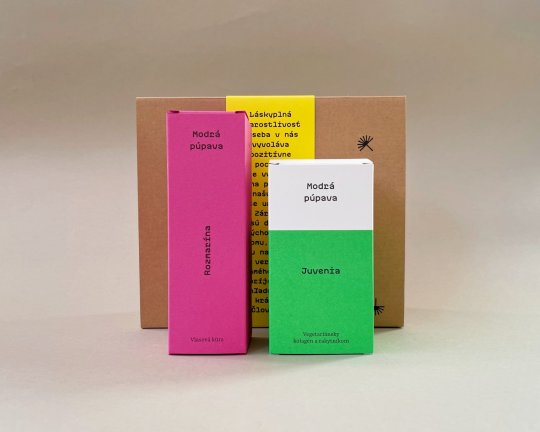 Modrá púpava | Olej na vlasy a kolagén