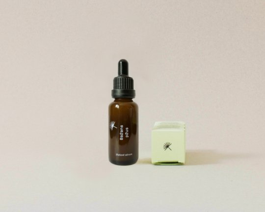 Modrá púpava | Balans plus