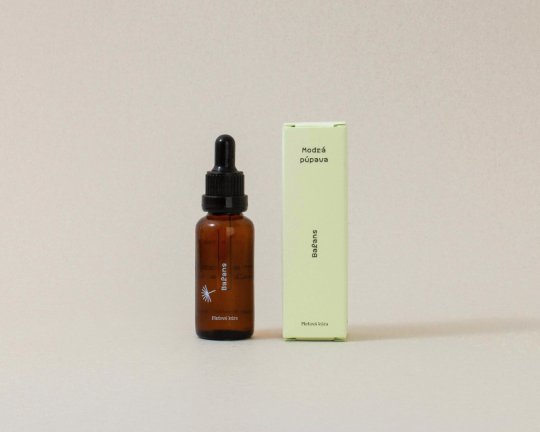 Modrá púpava | Balans