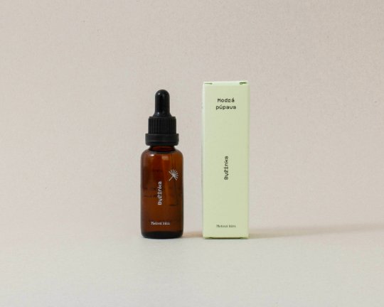 Modrá púpava | Bylinka