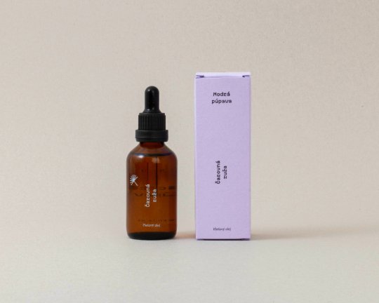 Modrá púpava | Čarovná ruža