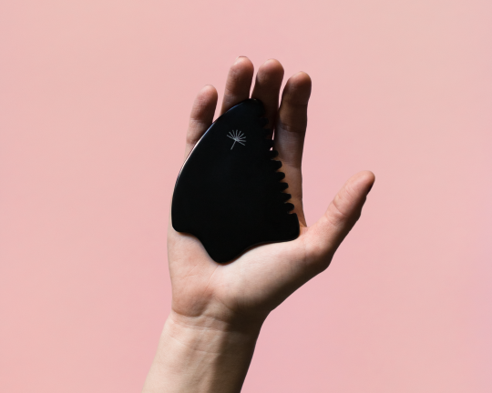 Modrá púpava | Gua-sha Bian - Masážny kameň