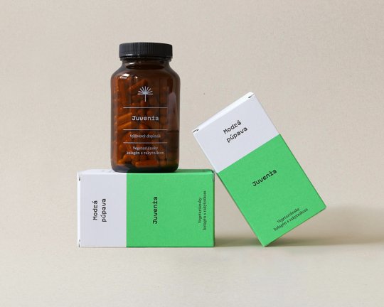 Modrá púpava | Juvenia