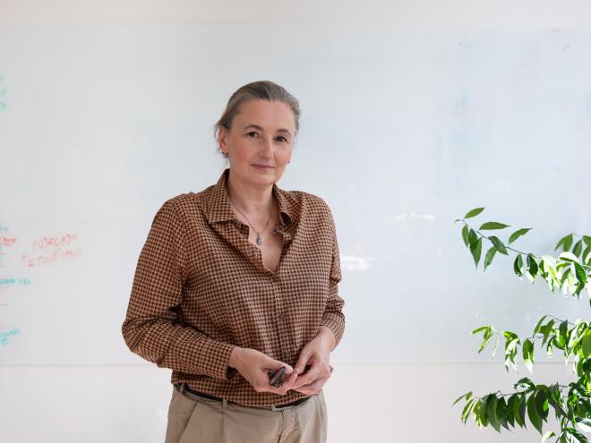 Elena Krátka Modrá púpava